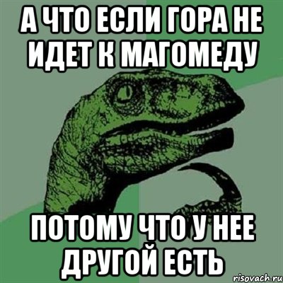 А ЧТО ЕСЛИ ГОРА НЕ ИДЕТ К МАГОМЕДУ ПОТОМУ ЧТО У НЕЕ ДРУГОЙ ЕСТЬ, Мем Филосораптор