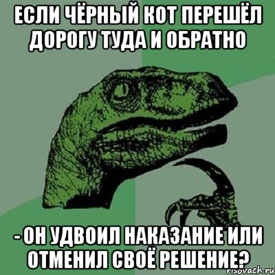 Если чёрный кот перешёл дорогу туда и обратно - он удвоил наказание или отменил своё решение?, Мем Филосораптор