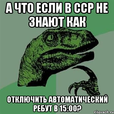 а что если в CCP не знают как отключить автоматический ребут в 15:00?, Мем Филосораптор