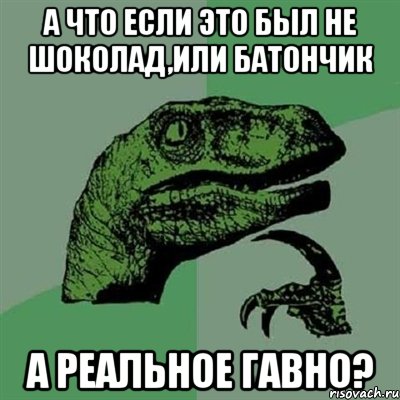 А что если это был не шоколад,или батончик А реальное гавно?, Мем Филосораптор