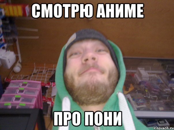 СМОТРЮ АНИМЕ ПРО ПОНИ