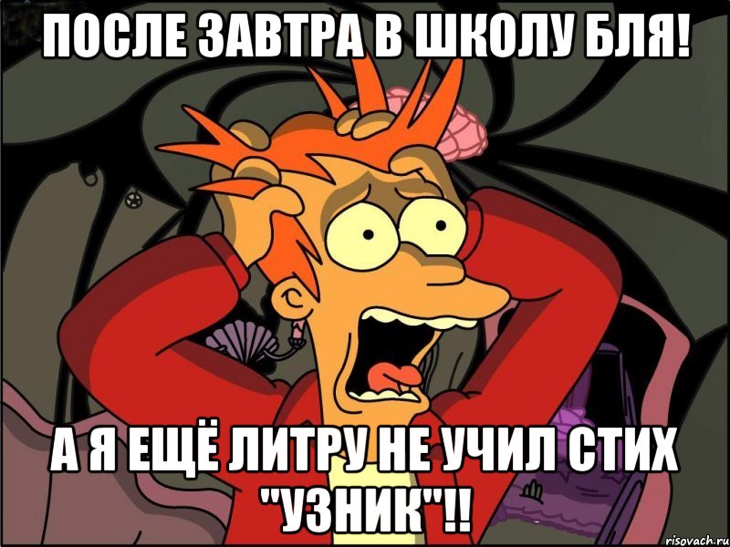 После завтра в школу бля! А я ещё Литру не учил стих "Узник"!!, Мем Фрай в панике