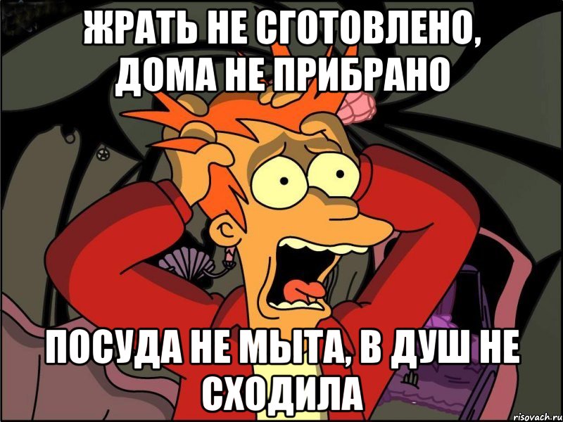 жрать не сготовлено, дома не прибрано посуда не мыта, в душ не сходила, Мем Фрай в панике