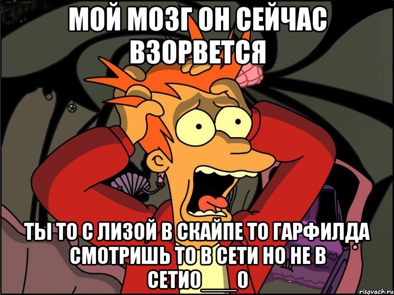 мой мозг он сейчас взорвется ты то с Лизой в скайпе то Гарфилда смотришь то в сети но не в сети0___0, Мем Фрай в панике