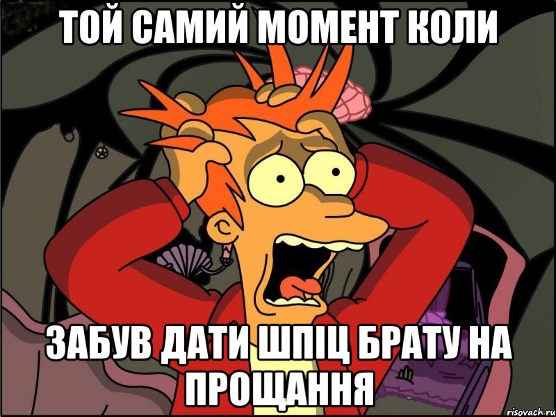 Той самий момент коли забув дати шпіц брату на прощання, Мем Фрай в панике