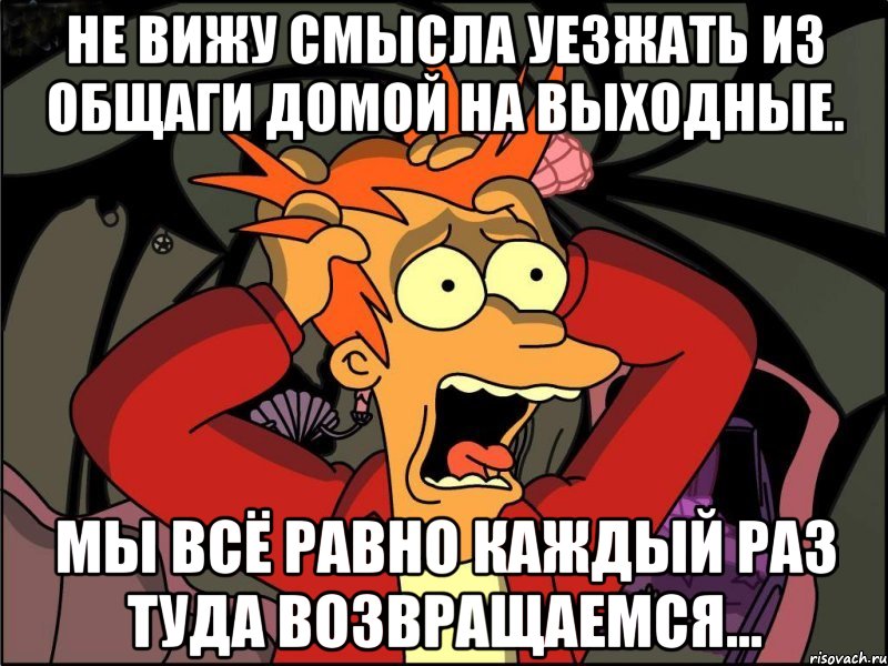 Не вижу смысла уезжать из общаги домой на выходные. Мы всё равно каждый раз туда возвращаемся..., Мем Фрай в панике