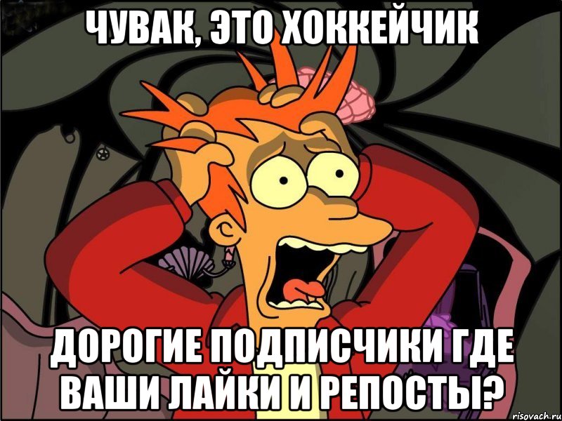 Чувак, это хоккейчик дорогие подписчики где ваши лайки и репосты?, Мем Фрай в панике