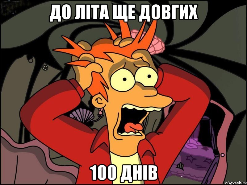 до літа ще довгих 100 днів, Мем Фрай в панике