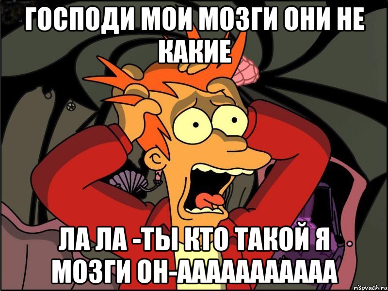 господи мои мозги они не какие ла ла -ты кто такой я мозги он-ааааааааааа, Мем Фрай в панике