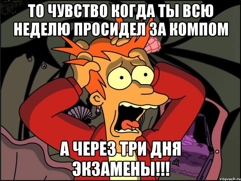 ТО ЧУВСТВО КОГДА ТЫ ВСЮ НЕДЕЛЮ ПРОСИДЕЛ ЗА КОМПОМ А ЧЕРЕЗ ТРИ ДНЯ ЭКЗАМЕНЫ!!!, Мем Фрай в панике