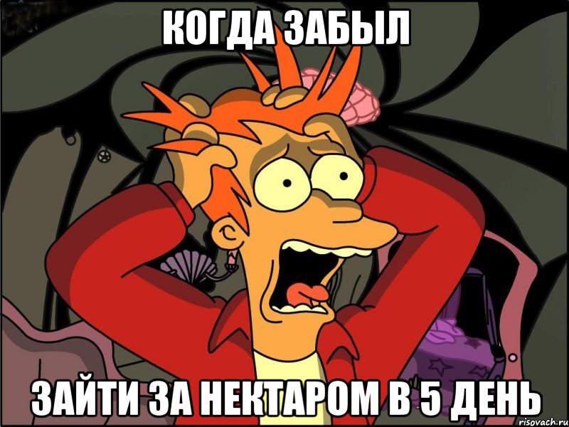 когда забыл зайти за нектаром в 5 день, Мем Фрай в панике