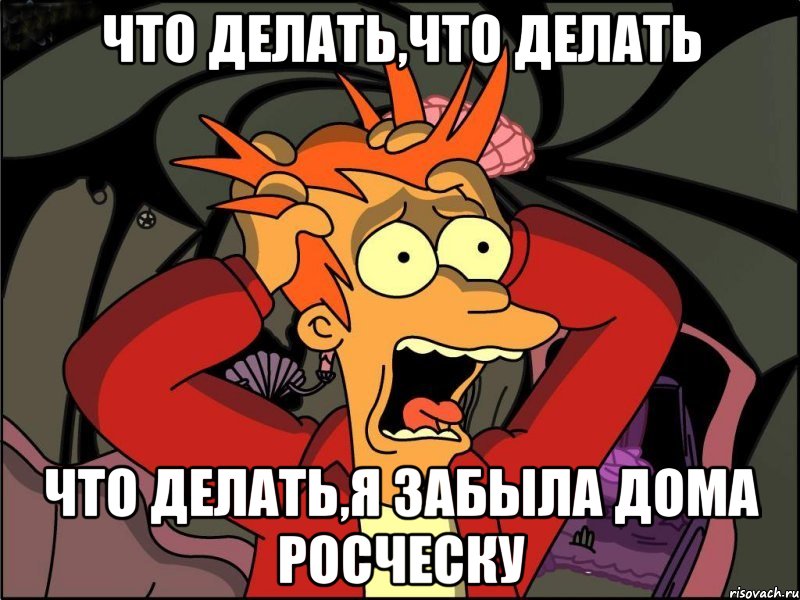 Что делать,что делать Что делать,я забыла дома росческу, Мем Фрай в панике