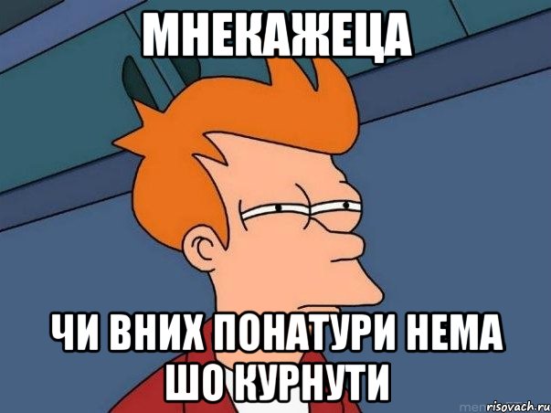мнекажеца чи вних понатури нема шо курнути, Мем  Фрай (мне кажется или)
