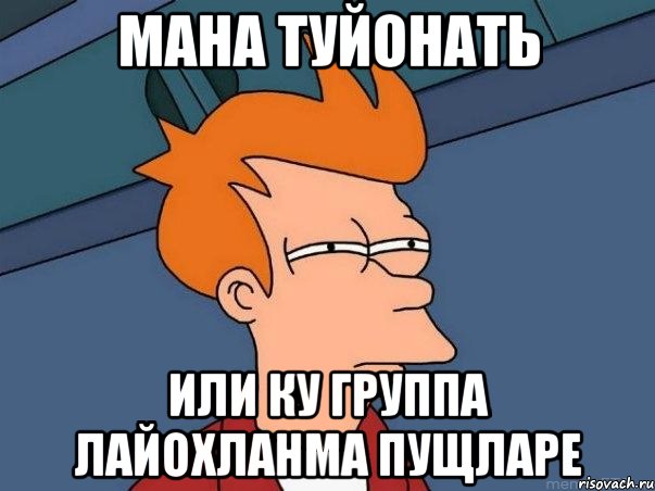 МАНА ТУЙОНАТЬ ИЛИ КУ ГРУППА ЛАЙОХЛАНМА ПУЩЛАРЕ, Мем  Фрай (мне кажется или)