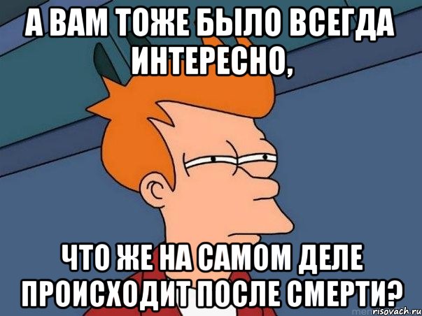 А вам тоже было всегда интересно, что же на самом деле происходит после смерти?, Мем  Фрай (мне кажется или)