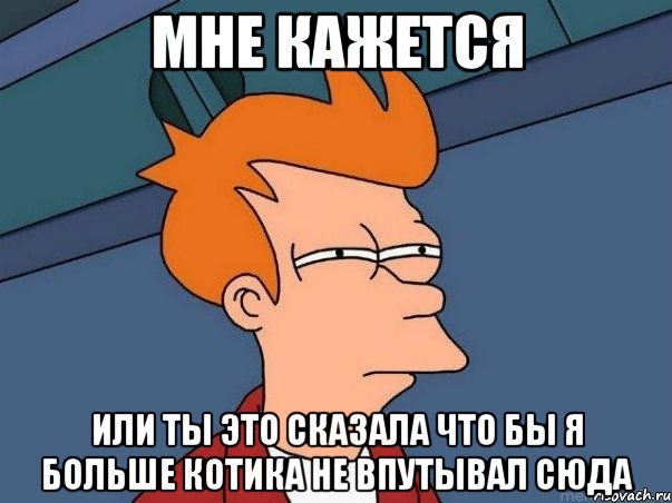 мне кажется или ты это сказала что бы я больше котика не впутывал сюда, Мем  Фрай (мне кажется или)