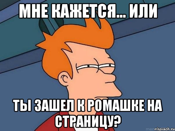 Мне кажется... или Ты зашел к ромашке на страницу?, Мем  Фрай (мне кажется или)