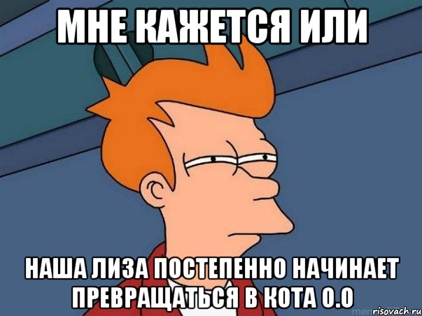 Мне кажется или наша Лиза постепенно начинает превращаться в кота о.О, Мем  Фрай (мне кажется или)