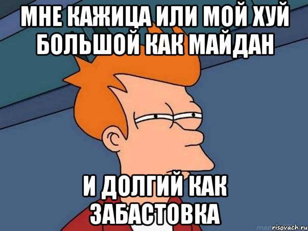 Мне кажица или мой хуй большой как майдан И долгий как забастовка, Мем  Фрай (мне кажется или)