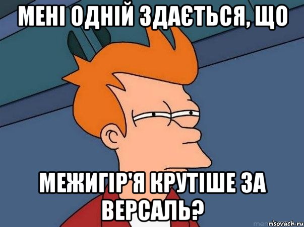 Мені одній здається, що Межигір'я крутіше за Версаль?, Мем  Фрай (мне кажется или)