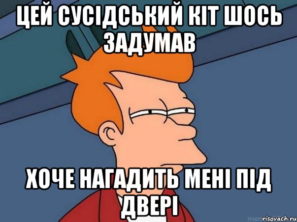 цей сусідський кіт шось задумав хоче нагадить мені під двері, Мем  Фрай (мне кажется или)