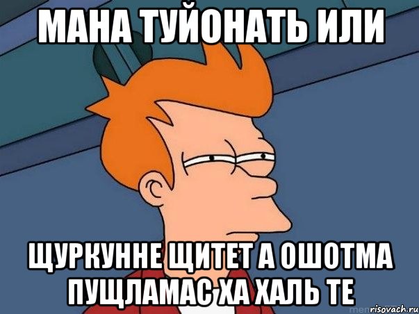 МАНА ТУЙОНАТЬ ИЛИ ЩУРКУННЕ ЩИТЕТ А ОШОТМА ПУЩЛАМАС ХА ХАЛЬ ТЕ, Мем  Фрай (мне кажется или)