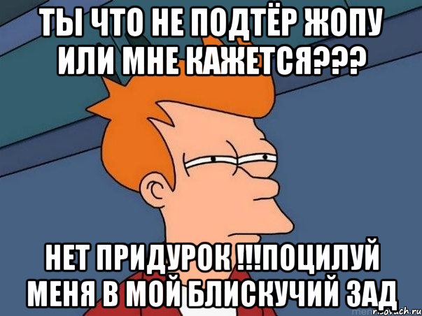 Ты что не подтёр жопу или мне кажется??? Нет придурок !!!ПОцилуй меня в мой блискучий зад, Мем  Фрай (мне кажется или)