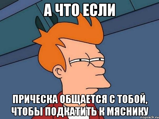 А что если Прическа общается с тобой, чтобы подкатить к Мяснику, Мем  Фрай (мне кажется или)