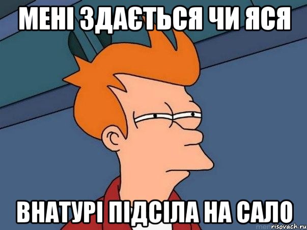 мені здається чи яся внатурі підсіла на сало, Мем  Фрай (мне кажется или)