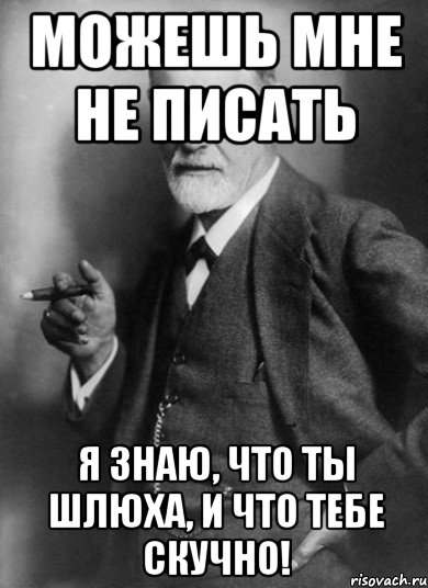 Можешь мне не писать Я знаю, что ты шлюха, и что тебе скучно!, Мем    Фрейд