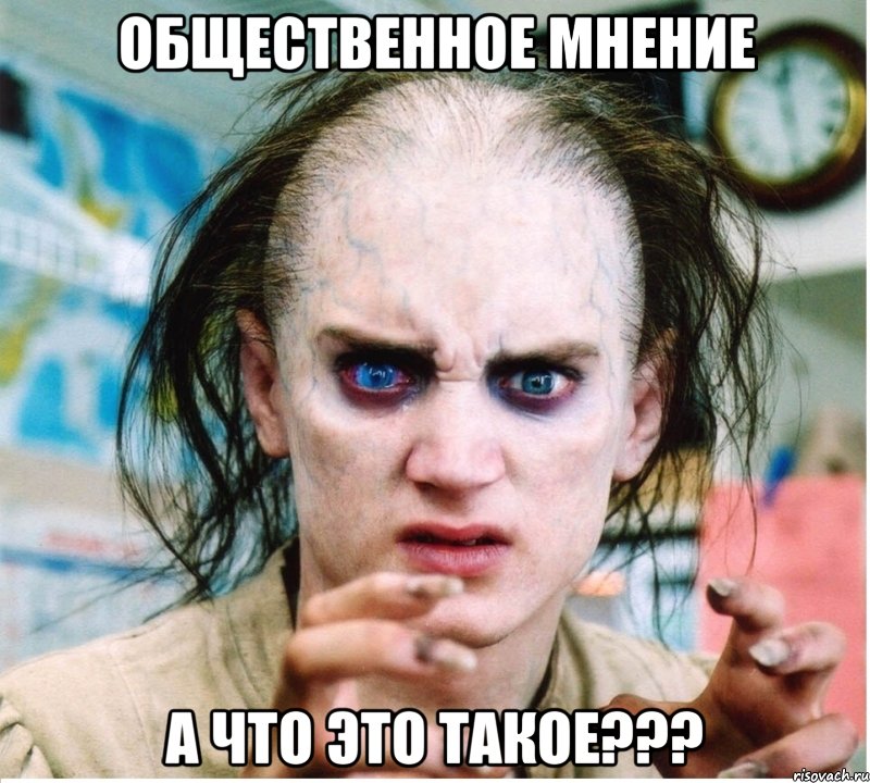 Общественное мнение А что это такое???