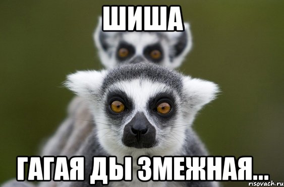 Шиша гагая ды змежная...