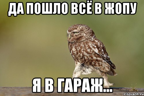 да пошло всё в жопу я в гараж...