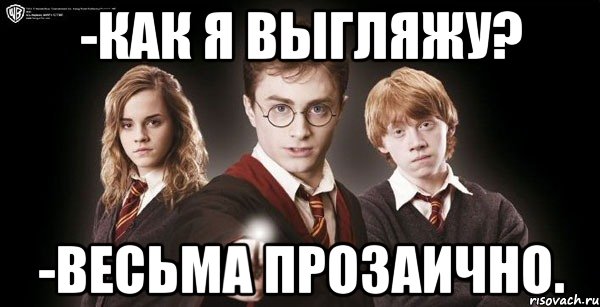 -как я выгляжу? -весьма прозаично., Мем Гарри Поттер Рон и Гермиона