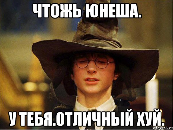 чтожь юнеша. у тебя.отличный хуй., Мем Гарри Поттер