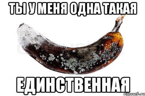 Ты у меня одна такая Единственная