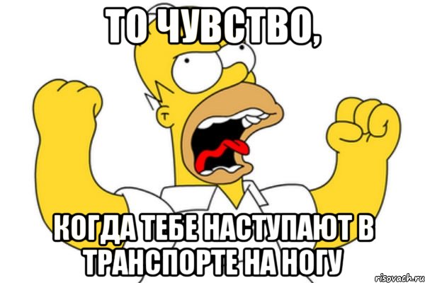 то чувство, когда тебе наступают в транспорте на ногу, Мем Разъяренный Гомер