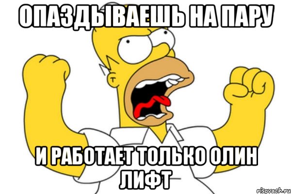 опаздываешь на пару и работает только олин лифт, Мем Разъяренный Гомер