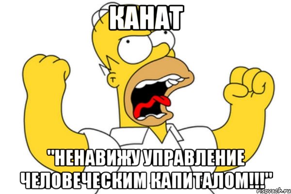 Канат "Ненавижу управление человеческим капиталом!!!", Мем Разъяренный Гомер