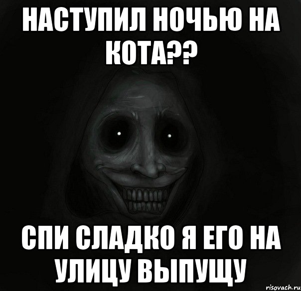 Наступил ночью на кота?? Спи сладко я его на улицу выпущу, Мем Ночной гость