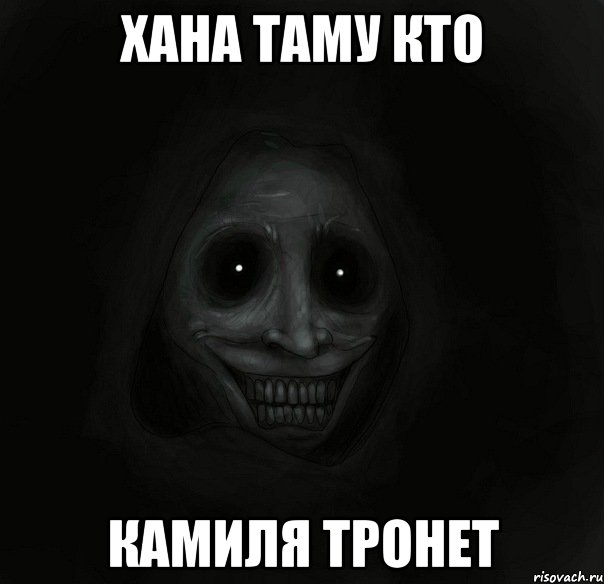 хана таму кто камиля тронет, Мем Ночной гость