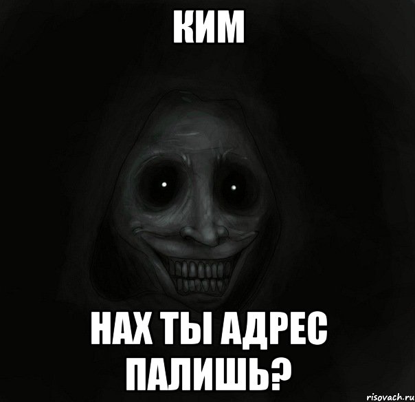 Ким нах ты адрес палишь?, Мем Ночной гость