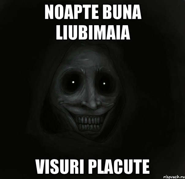 Noapte Buna liubimaia visuri placute, Мем Ночной гость