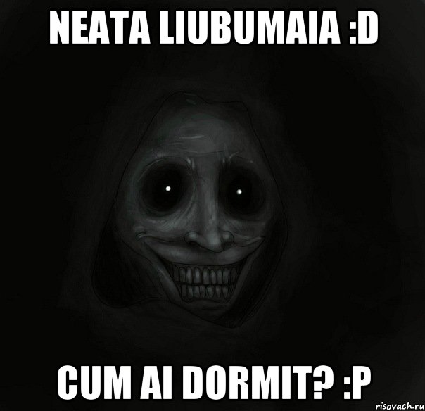Neata liubumaia :D Cum ai dormit? :P, Мем Ночной гость