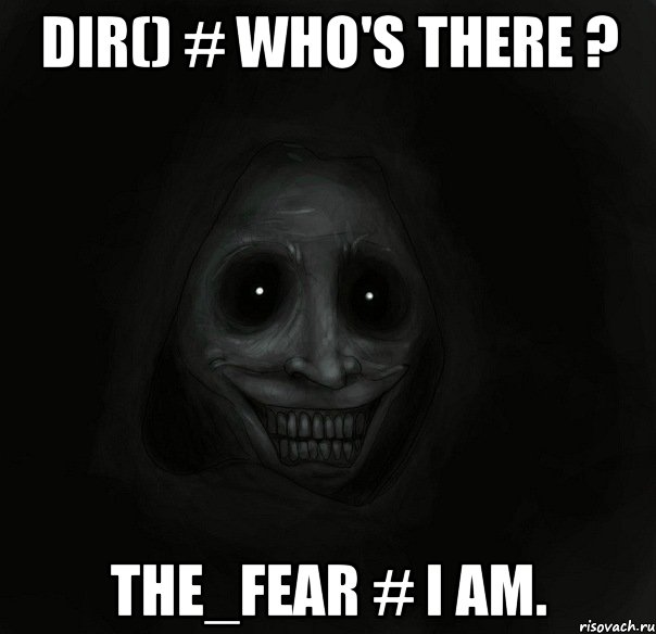 dir() # who's there ? The_fear # I am., Мем Ночной гость