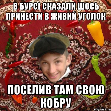 В бурсі сказали шось принести в живий уголок Поселив там свою кобру