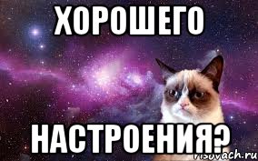 Хорошего настроения?, Мем grumpy cat space