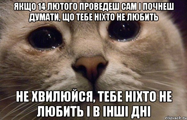 якщо 14 лютого проведеш сам і почнеш думати, що тебе ніхто не любить не хвилюйся, тебе ніхто не любить і в інші дні, Мем   В мире грустит один котик