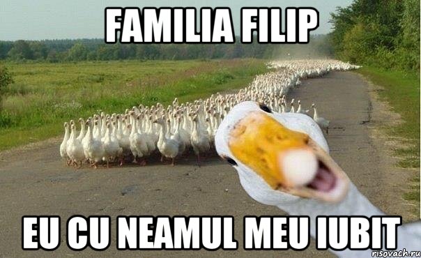 Familia Filip eu cu neamul meu iubit, Мем гуси