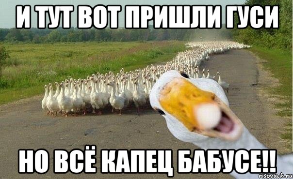 и тут вот пришли гуси но всё капец бабусе!!